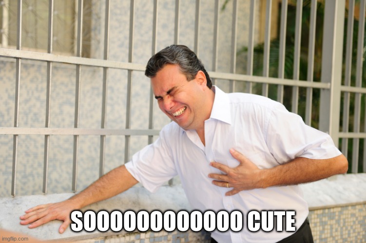 heart attack | SOOOOOOOOOOOO CUTE | image tagged in heart attack | made w/ Imgflip meme maker