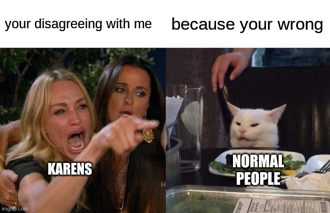 Woman Yelling At Cat Meme | your disagreeing with me; because your wrong; KARENS; NORMAL PEOPLE | image tagged in memes,woman yelling at cat | made w/ Imgflip meme maker