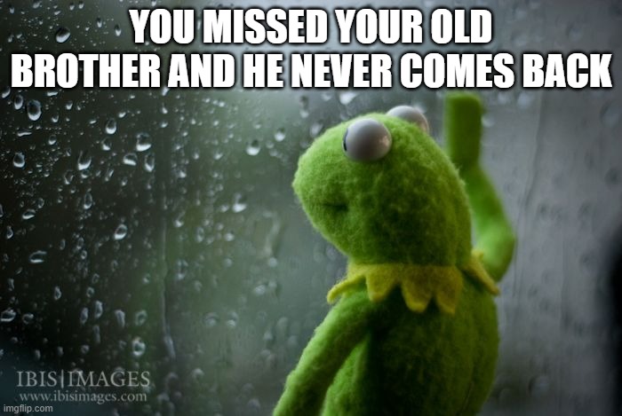 When.... | YOU MISSED YOUR OLD BROTHER AND HE NEVER COMES BACK | image tagged in kermit window | made w/ Imgflip meme maker