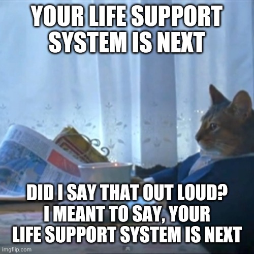 Cat reading the paper | YOUR LIFE SUPPORT
SYSTEM IS NEXT DID I SAY THAT OUT LOUD?
I MEANT TO SAY, YOUR LIFE SUPPORT SYSTEM IS NEXT | image tagged in cat reading the paper | made w/ Imgflip meme maker