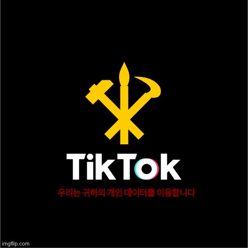 TikTok if it was made in North Korea | 우리는 귀하의 개인 데이터를 이용합니다 | image tagged in tiktok sucks | made w/ Imgflip meme maker