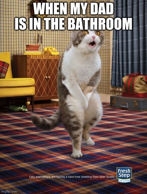 Gotta Go Cat | WHEN MY DAD IS IN THE BATHROOM | image tagged in memes,gotta go cat | made w/ Imgflip meme maker