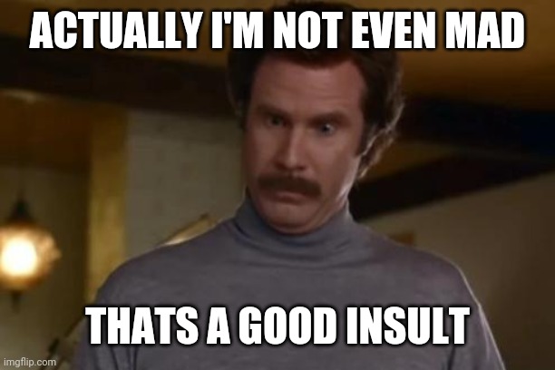 actually im not even mad | ACTUALLY I'M NOT EVEN MAD THATS A GOOD INSULT | image tagged in actually im not even mad | made w/ Imgflip meme maker