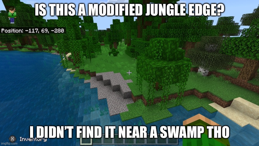 Just asking | IS THIS A MODIFIED JUNGLE EDGE? I DIDN’T FIND IT NEAR A SWAMP THO | image tagged in minecraft | made w/ Imgflip meme maker