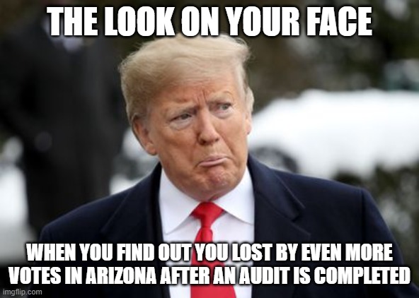 Sad Donald Trump | THE LOOK ON YOUR FACE; WHEN YOU FIND OUT YOU LOST BY EVEN MORE VOTES IN ARIZONA AFTER AN AUDIT IS COMPLETED | image tagged in sad donald trump | made w/ Imgflip meme maker