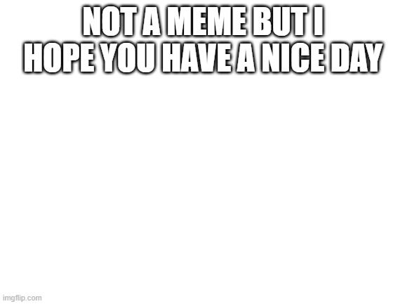 Blank White Template | NOT A MEME BUT I HOPE YOU HAVE A NICE DAY | image tagged in blank white template | made w/ Imgflip meme maker
