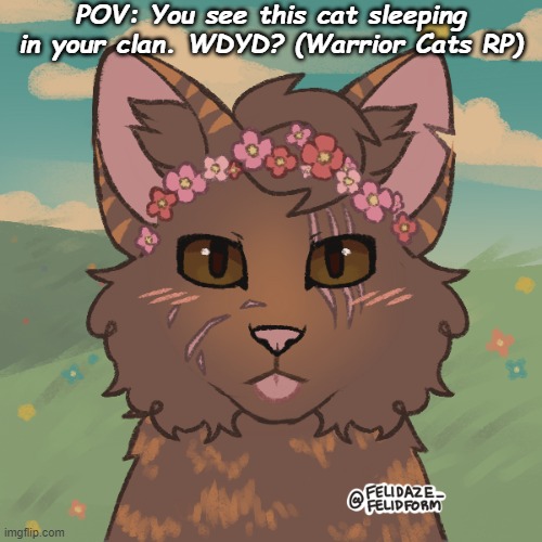 Mudfur: Wait, where am I? | POV: You see this cat sleeping in your clan. WDYD? (Warrior Cats RP) | made w/ Imgflip meme maker