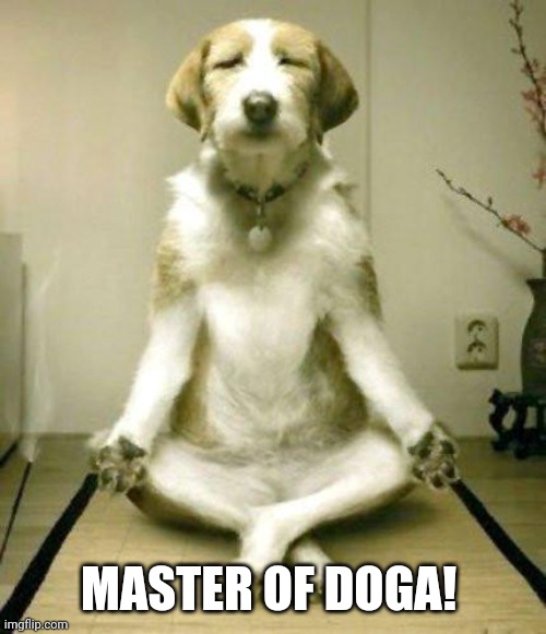 Yoga Dog | MASTER OF DOGA! | image tagged in yoga dog | made w/ Imgflip meme maker