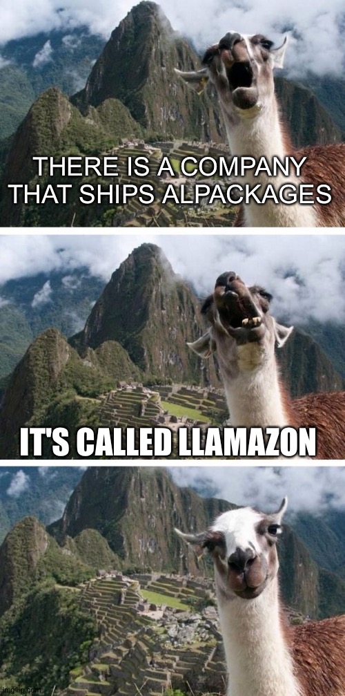 Yo llama |  THERE IS A COMPANY THAT SHIPS ALPACKAGES; IT'S CALLED LLAMAZON | image tagged in llama,amazon,alpaca,package,bad pun,memes | made w/ Imgflip meme maker