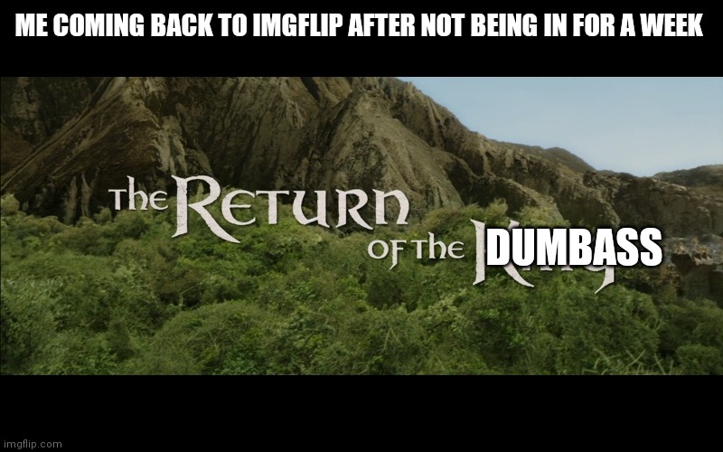 Return Of The King | ME COMING BACK TO IMGFLIP AFTER NOT BEING IN FOR A WEEK; DUMBASS | image tagged in return of the king,first tag is a joke | made w/ Imgflip meme maker