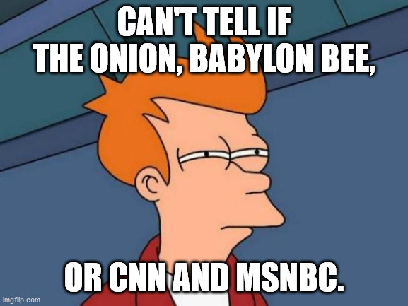 Futurama Fry Meme | CAN'T TELL IF THE ONION, BABYLON BEE, OR CNN AND MSNBC. | image tagged in memes,futurama fry | made w/ Imgflip meme maker