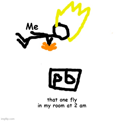 it's 2 am man i just need some sleep | Me; that one fly in my room at 2 am | image tagged in stickman smashes laptop | made w/ Imgflip meme maker