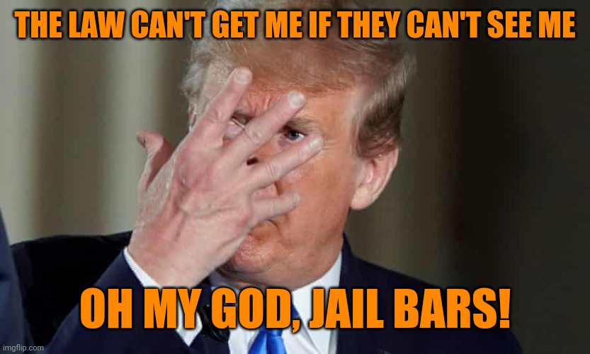 trump trying to hide | THE LAW CAN'T GET ME IF THEY CAN'T SEE ME; OH MY GOD, JAIL BARS! | image tagged in trump trying to hide,crazy eyes,tiny hands | made w/ Imgflip meme maker