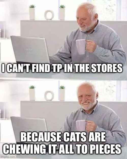 Hide the Pain Harold Meme | I CAN’T FIND TP IN THE STORES BECAUSE CATS ARE CHEWING IT ALL TO PIECES | image tagged in memes,hide the pain harold | made w/ Imgflip meme maker