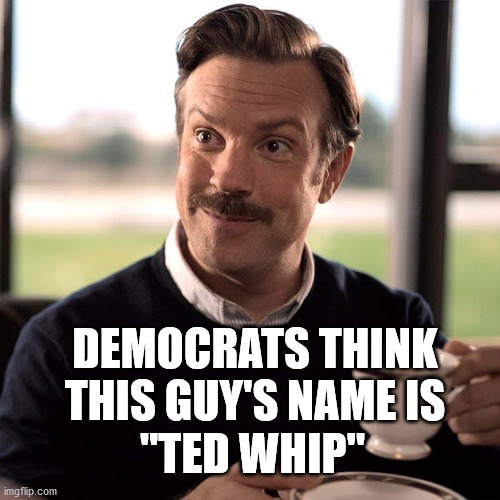 Ted Lasso | "TED WHIP"; DEMOCRATS THINK THIS GUY'S NAME IS | image tagged in ted lasso | made w/ Imgflip meme maker
