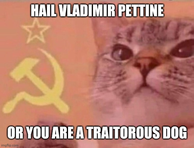 Communist cat |  HAIL VLADIMIR PETTINE; OR YOU ARE A TRAITOROUS DOG | image tagged in communist cat | made w/ Imgflip meme maker