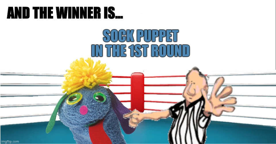 AND THE WINNER IS... SOCK PUPPET
IN THE 1ST ROUND | image tagged in white bar | made w/ Imgflip meme maker