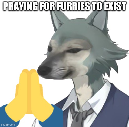 hold on hold on | PRAYING FOR FURRIES TO EXIST | image tagged in hmm rabbet dorime | made w/ Imgflip meme maker