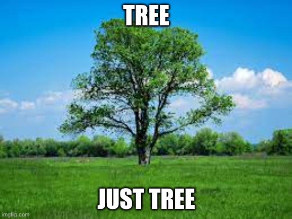 tree | TREE; JUST TREE | image tagged in tree | made w/ Imgflip meme maker