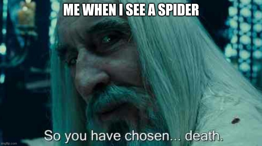 No mercy | ME WHEN I SEE A SPIDER | image tagged in so you have chosen death | made w/ Imgflip meme maker