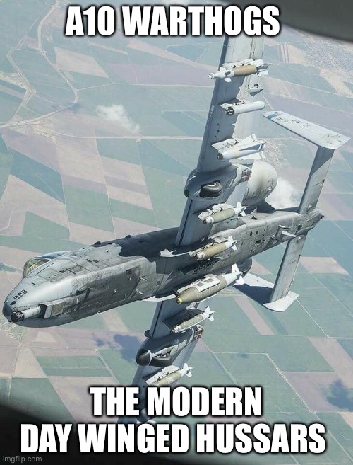 Then the winged hussars arrived | A10 WARTHOGS; THE MODERN DAY WINGED HUSSARS | image tagged in a-10 warthog | made w/ Imgflip meme maker