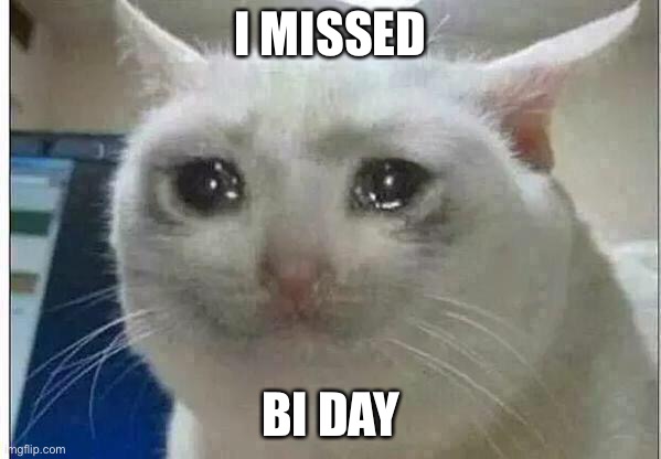T-T | I MISSED; BI DAY | image tagged in crying cat | made w/ Imgflip meme maker