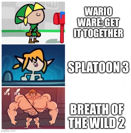 terminalmontage link | WARIO WARE: GET IT TOGETHER; SPLATOON 3; BREATH OF THE WILD 2 | image tagged in terminalmontage link,nintendo,die | made w/ Imgflip meme maker