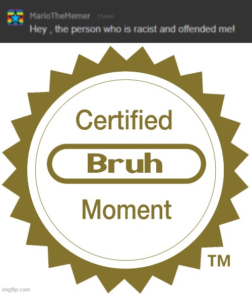 he's such a snowflake, first he wants to be friend with me, then he calls me racist for no reason... | image tagged in certified bruh moment | made w/ Imgflip meme maker