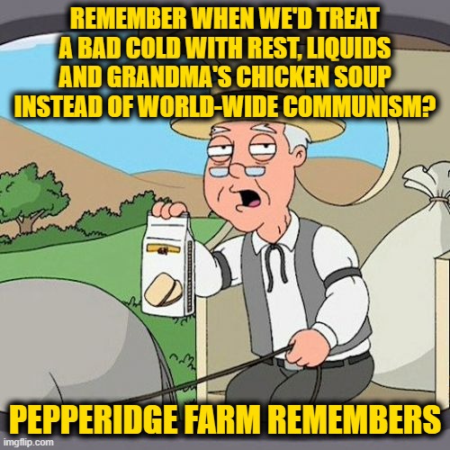 Pepperidge Farm Remembers Meme | REMEMBER WHEN WE'D TREAT A BAD COLD WITH REST, LIQUIDS AND GRANDMA'S CHICKEN SOUP INSTEAD OF WORLD-WIDE COMMUNISM? PEPPERIDGE FARM REMEMBERS | image tagged in memes,pepperidge farm remembers | made w/ Imgflip meme maker
