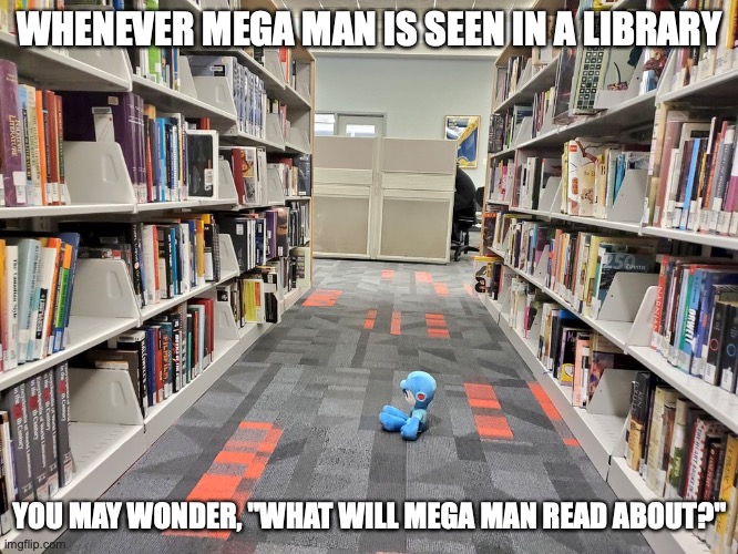 Mega Man Plush in a Library | WHENEVER MEGA MAN IS SEEN IN A LIBRARY; YOU MAY WONDER, "WHAT WILL MEGA MAN READ ABOUT?" | image tagged in library,megaman,memes | made w/ Imgflip meme maker