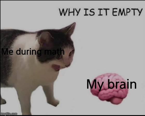 why is it empty? | Me during math; My brain | image tagged in why is it empty | made w/ Imgflip meme maker