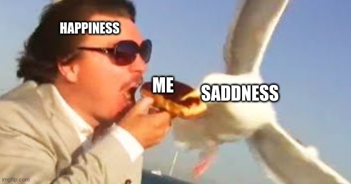 swiping seagull | HAPPINESS; ME; SADDNESS | image tagged in swiping seagull | made w/ Imgflip meme maker