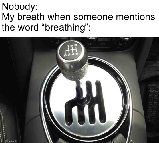 Why? Just… why? |  Nobody: 
My breath when someone mentions the word “breathing”: | image tagged in memes,heavy breathing,breathe,breath,manual | made w/ Imgflip meme maker