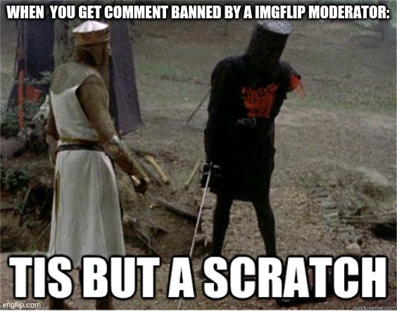 Only for 5 hours | WHEN  YOU GET COMMENT BANNED BY A IMGFLIP MODERATOR: | image tagged in tis but a scratch | made w/ Imgflip meme maker