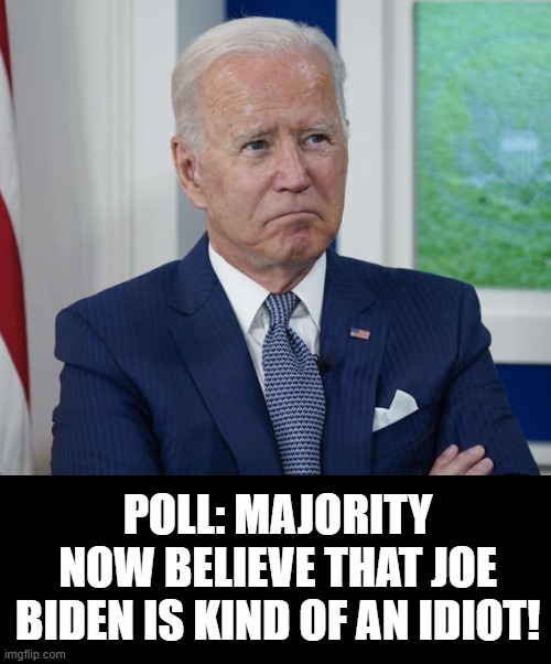 Most people now believe President Biden is an IDIOT! | image tagged in morons,idiots,stupid liberals,biden,democrats | made w/ Imgflip meme maker