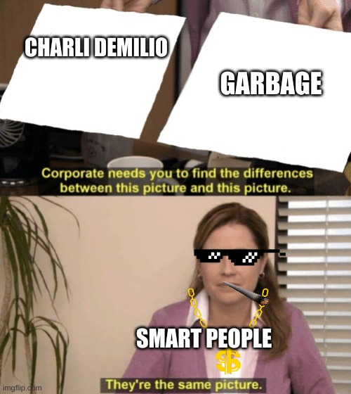 Corporate needs you to find the differences | CHARLI DEMILIO; GARBAGE; SMART PEOPLE | image tagged in corporate needs you to find the differences | made w/ Imgflip meme maker