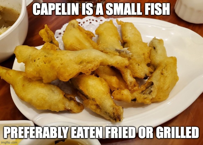 Fried Capelin | CAPELIN IS A SMALL FISH; PREFERABLY EATEN FRIED OR GRILLED | image tagged in fish,memes,food | made w/ Imgflip meme maker