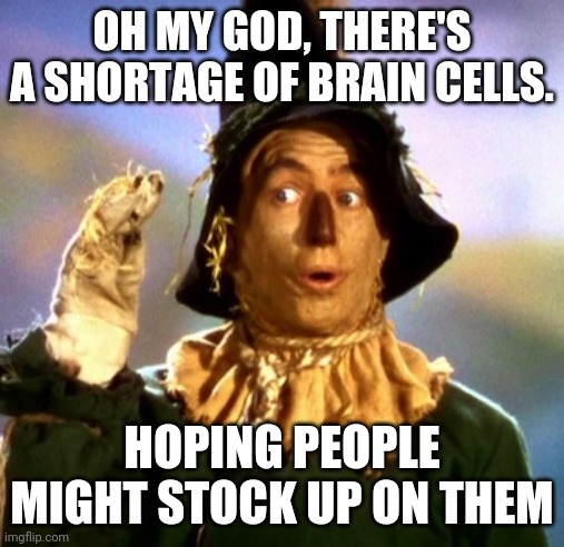 Panic buying | OH MY GOD, THERE'S A SHORTAGE OF BRAIN CELLS. HOPING PEOPLE MIGHT STOCK UP ON THEM | image tagged in panic buying,sheople,shortages,empty shelves | made w/ Imgflip meme maker