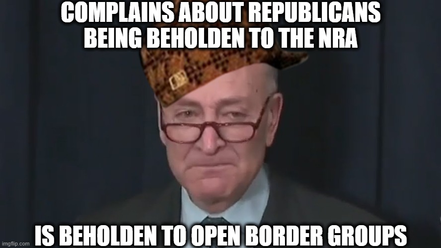 If you can't stand up to open border groups then don't complain about the other side not standing up to the NRA | COMPLAINS ABOUT REPUBLICANS BEING BEHOLDEN TO THE NRA; IS BEHOLDEN TO OPEN BORDER GROUPS | image tagged in liberal logic,chuck schumer,nra,open borders,illegal immigration | made w/ Imgflip meme maker