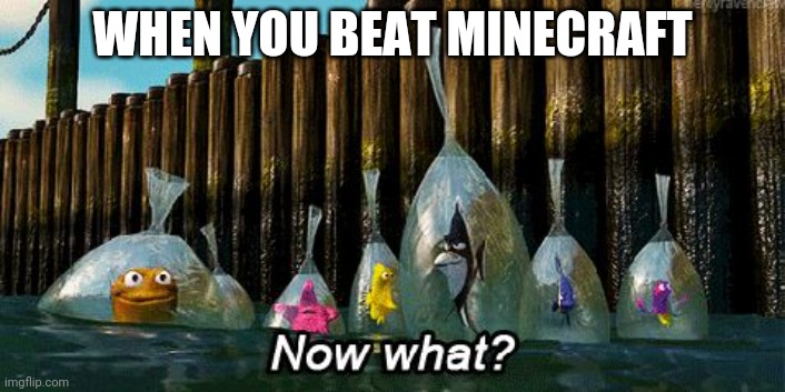 Hmmmmm | WHEN YOU BEAT MINECRAFT | image tagged in now what,minecraft | made w/ Imgflip meme maker