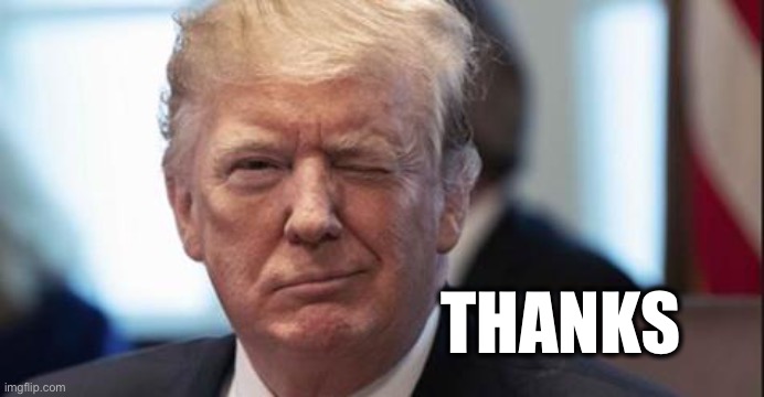 Trump wink | THANKS | image tagged in trump wink | made w/ Imgflip meme maker