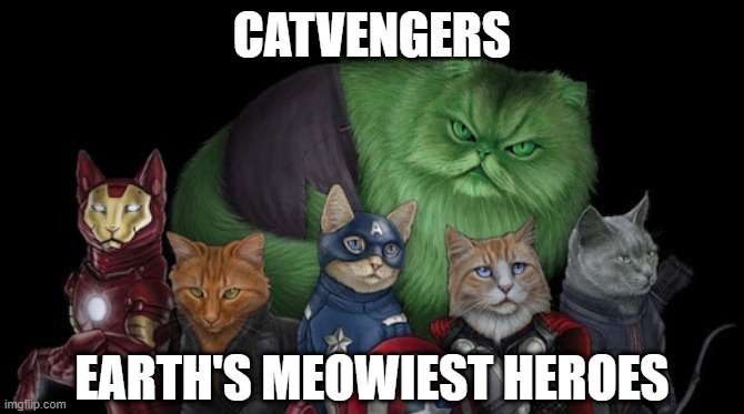 Saving the Catnip One Plant at a Time | CATVENGERS; EARTH'S MEOWIEST HEROES | image tagged in superheroes | made w/ Imgflip meme maker