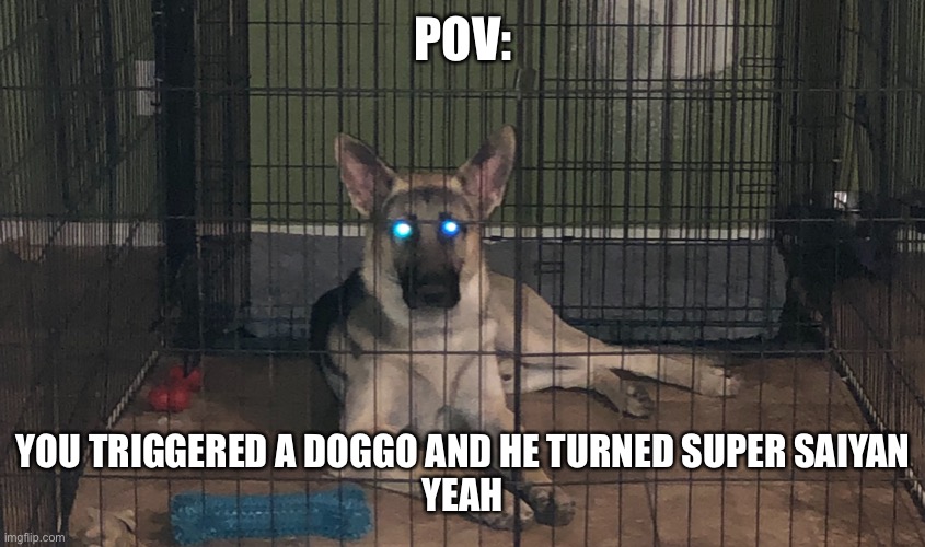 Yeah | POV:; YOU TRIGGERED A DOGGO AND HE TURNED SUPER SAIYAN
YEAH | made w/ Imgflip meme maker