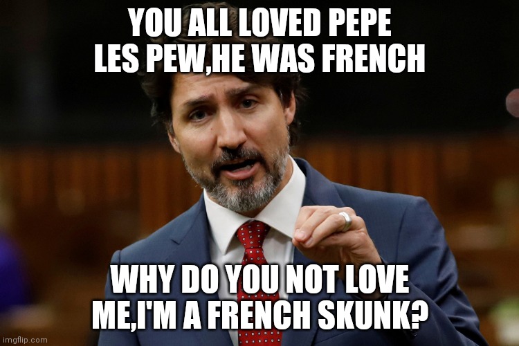 Trudeau |  YOU ALL LOVED PEPE LES PEW,HE WAS FRENCH; WHY DO YOU NOT LOVE ME,I'M A FRENCH SKUNK? | image tagged in trudeau | made w/ Imgflip meme maker