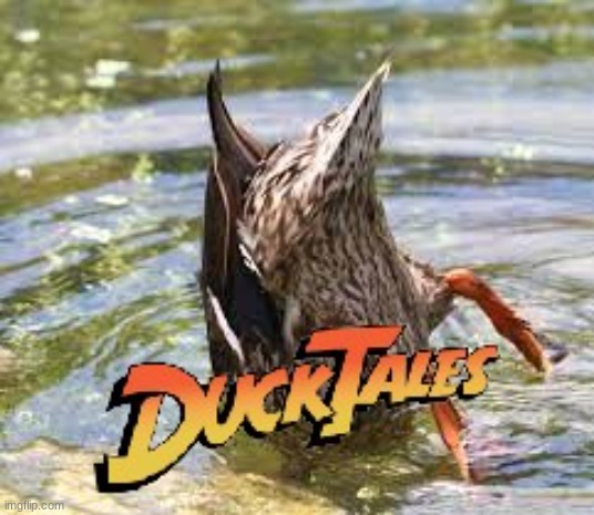 Duck Tales but for real | image tagged in duck,tails,ducktails,fun,funny,tv show | made w/ Imgflip meme maker