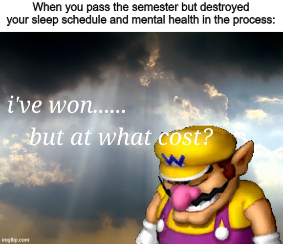 How Highschool Goes. |  When you pass the semester but destroyed your sleep schedule and mental health in the process: | image tagged in i have won but at what cost,wario,wario sad,school,school meme,high school | made w/ Imgflip meme maker