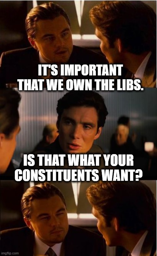 Own Those Libs! | IT'S IMPORTANT THAT WE OWN THE LIBS. IS THAT WHAT YOUR CONSTITUENTS WANT? | image tagged in memes,inception,liberals,qanon,republicans,gop | made w/ Imgflip meme maker