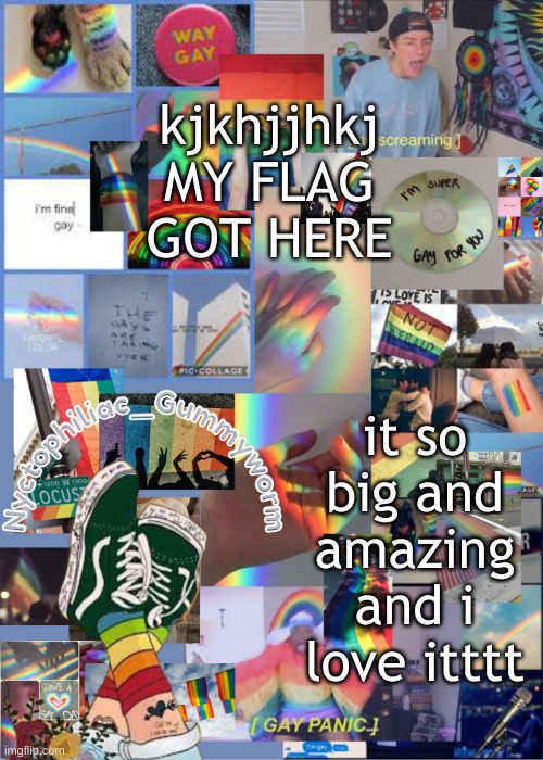 The necklace is really cool too | kjkhjjhkj MY FLAG GOT HERE; it so big and amazing and i love itttt | image tagged in i've out gayed myself with this temp | made w/ Imgflip meme maker