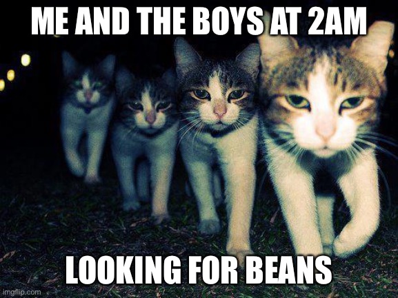 Day 1 of me running out of titles | ME AND THE BOYS AT 2AM; LOOKING FOR BEANS | image tagged in memes,wrong neighboorhood cats | made w/ Imgflip meme maker