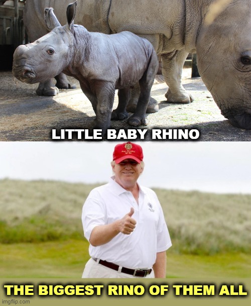 Strong against foreign dictators, respect for the law, fiscal responsibility? This man is no Republican. | LITTLE BABY RHINO; THE BIGGEST RINO OF THEM ALL | made w/ Imgflip meme maker